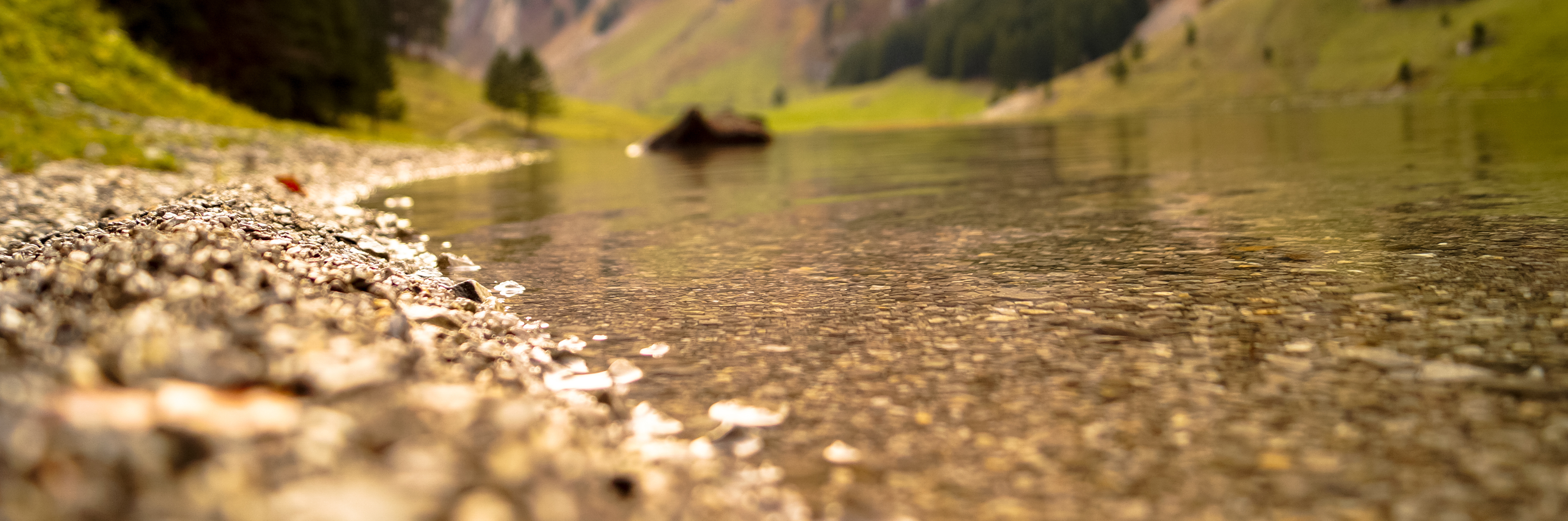 2025 Website Monthly Facts Images