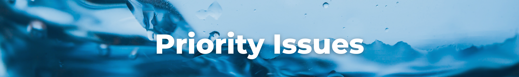 ngwa priority issues