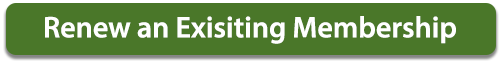 renew-button renew button