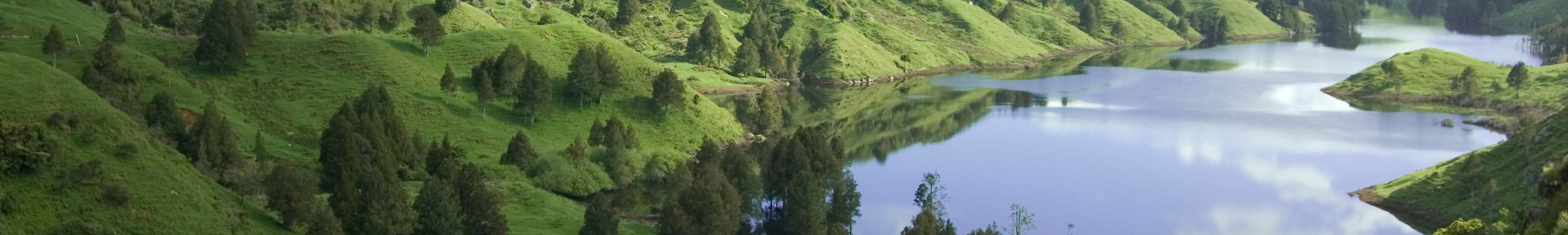 header-general