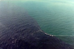estuary estuary
